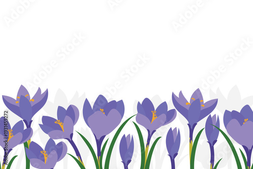 Spring flowers border. Spring flowers background with crocuses. Vector template for poster, web, banner, promotion.
