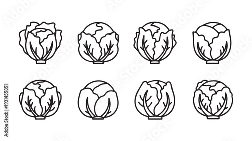 Collection of Eight Cabbage Icons Line Art Isolated on White Background