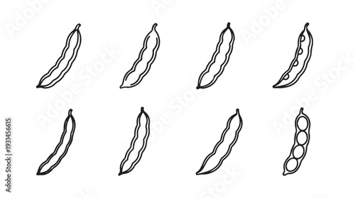 Collection of Hand Drawn Bean Pods Isolated on White Background Various Styles