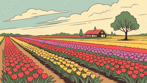 Vibrant Rows of Colorful Tulip Flowers on Rural Farm with Barn and Tree