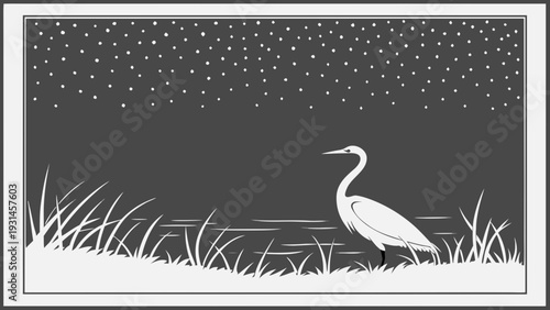 Elegant Egret Stands Serene by Water Under Starry Night.