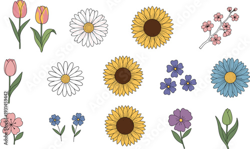 Collection of colorful hand- drawn flowers in various styles and colors tulips daisies sunflowers