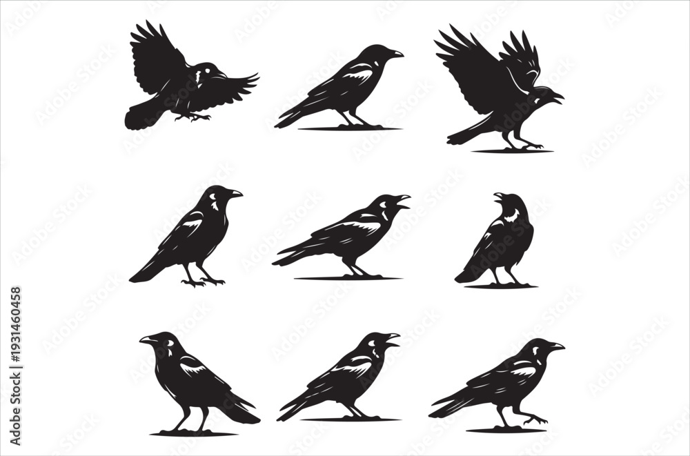 Fototapeta premium A collection of black silhouettes depicting crows in various poses