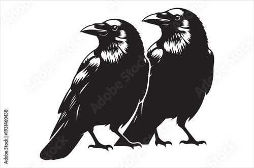 Two black ravens perched closely together in a graphic illustration