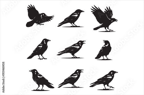 A collection of black silhouettes depicting crows in various poses