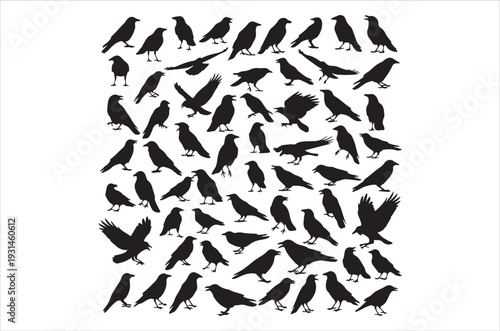 A dense flock of black bird silhouettes fills the frame