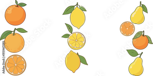 Fresh Citrus Fruit Vector Set with Orange Lemon Pear and Slices Isolated on White Background Illustration Collection