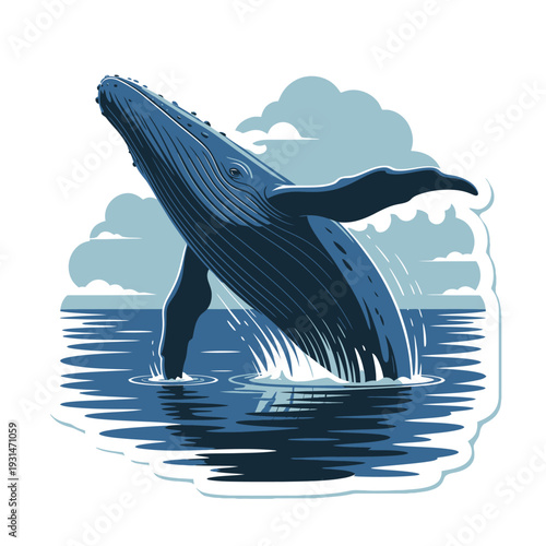 Humpback Whale Breaching Vector Illustration: Marine Wildlife Animal Graphic.