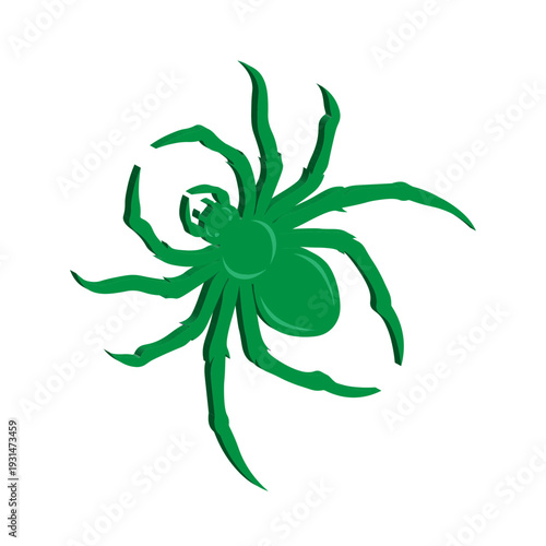 vector silhouette of a spider