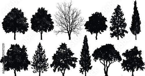 Collection of Various Tree Silhouettes with Different Shapes and Species Isolated on White Background for Landscape Architecture Nature Forest Park and Urban Design Projects