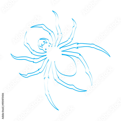 vector silhouette of a spider