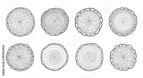 Set of eight unique tree trunk cross-sections shows detailed growth rings and bark textures in a clean black and white technical illustration.