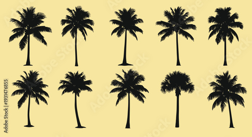 Silhouette illustrations of various palm tree species are arranged in two rows against a warm and sunny light yellow background backdrop.