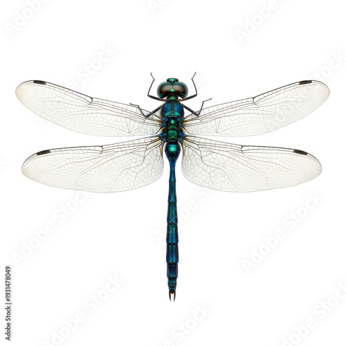 ultra realistic macro flat lay of an iridescent deep blue and emerald green dragonfly on a transparent backdrop with transparent wings and ample copy space, concept of perfection nature and microcosm