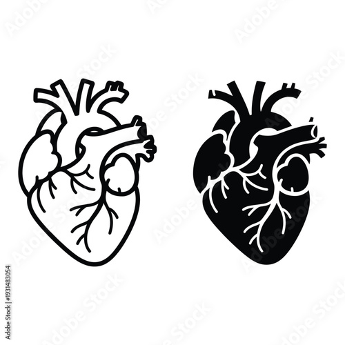 Anatomical human heart detailed outline and solid black silhouette illustration