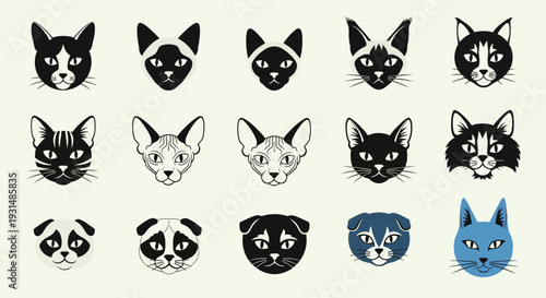 Collection of Various Cat Faces Illustrations.