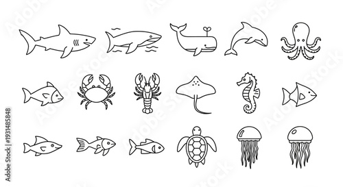 Collection of Various Marine Life Illustrations.
