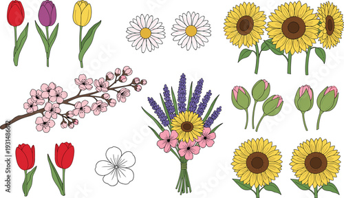 Colorful spring flowers collection with tulips daisies sunflowers lavender cherry blossom bouquet, hand drawn vector illustration set