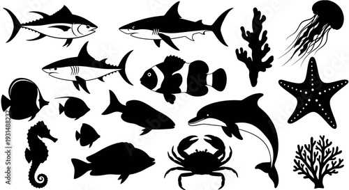 A diverse collection of marine animals and plants viewed from above in a graphic illustration