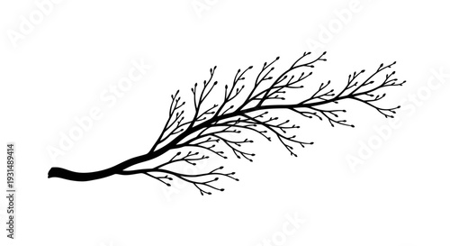 Illustration of a bare tree branch with delicate twigs extending from a thick stem, showcasing intricate details from a close-up viewpoint.