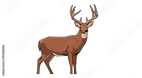 Illustration of a majestic deer with large antlers on white background