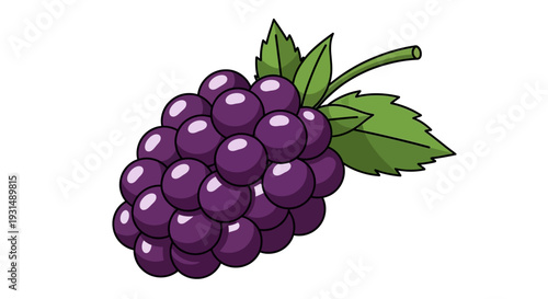 Vector illustration of a purple grape cluster with green leaves