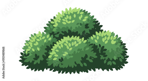 Illustration of a lush green bush with dense foliage