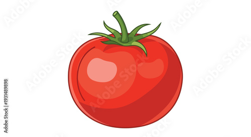 Vector illustration of a ripe red tomato with green stem