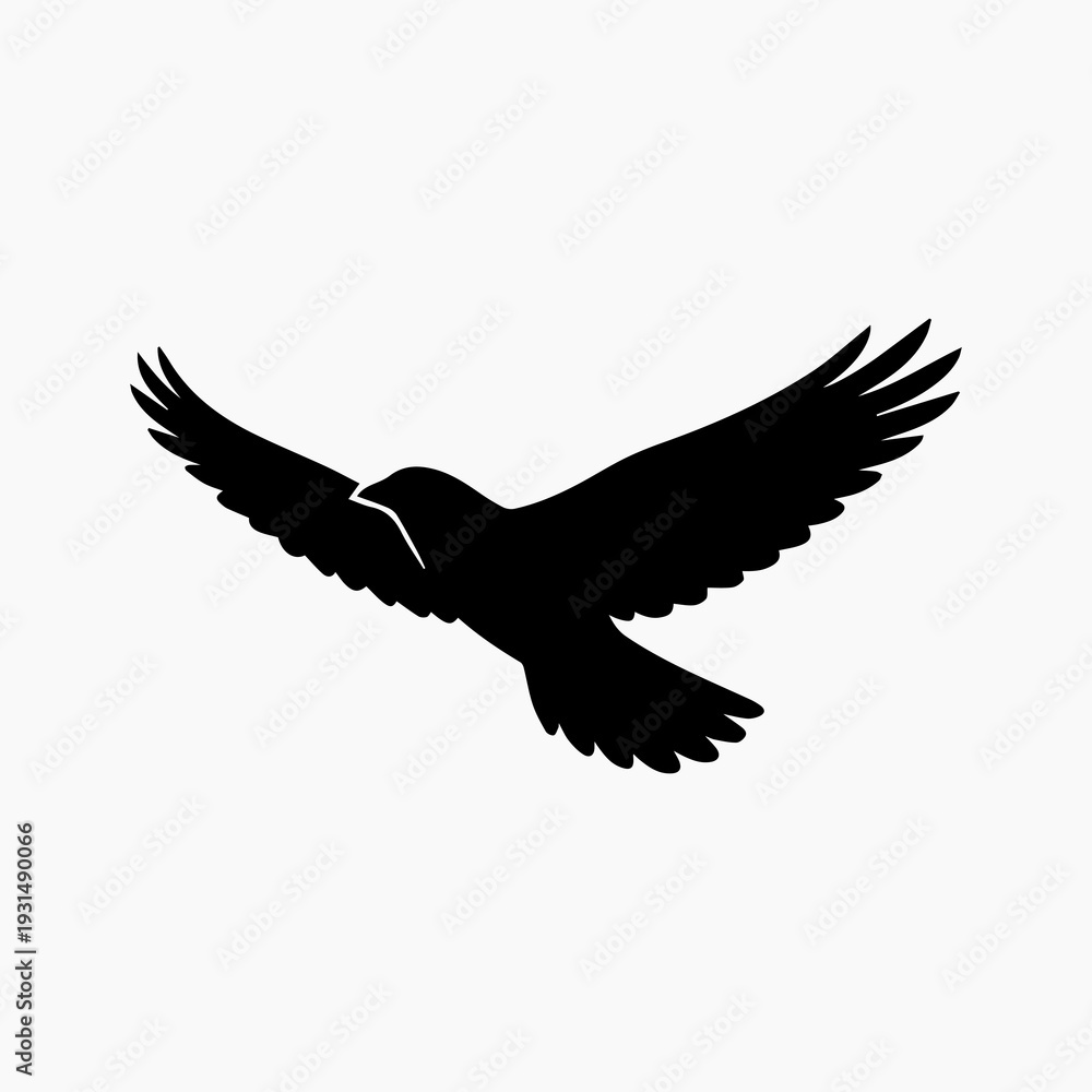 Obraz premium eagle on white background