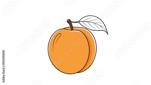 Simple and charming hand-drawn illustration of a single ripe orange apricot with a green leaf, isolated on a white background for a fresh, healthy concept.