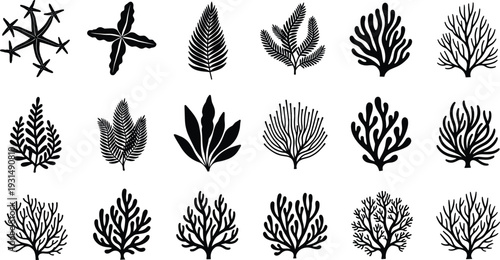 Set of black coral silhouettes and seaweeds for underwater ocean nature marine life aquarium reef garden and exotic tropical island nautical design