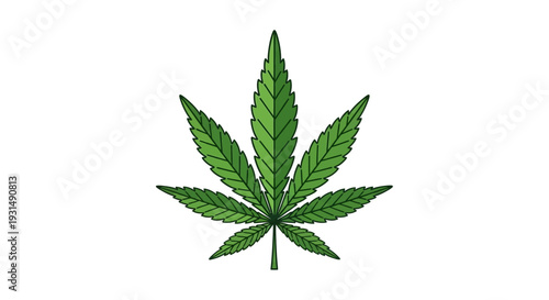 Green cannabis leaf illustration on white background