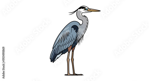 Illustration of a Great Blue Heron Standing on White Background