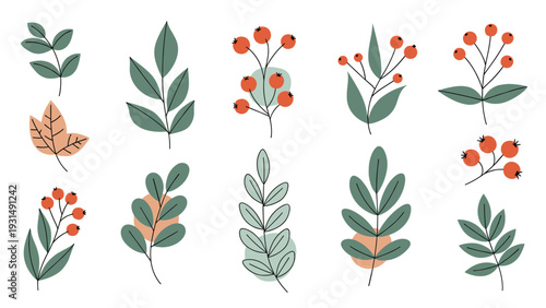 A charming collection of hand-drawn botanical elements, including various leaves and branches with berries, decorated with abstract shapes for a modern, natural look.