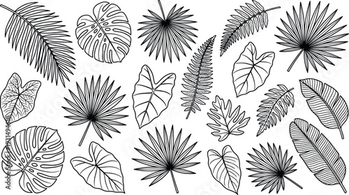 Black line art set of tropical leaves and monstera palm fronds vector illustration icons isolated on white background for summer nature decoration.