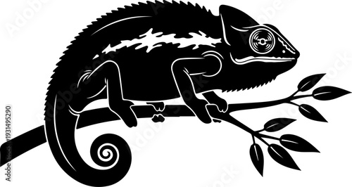 chameleon on a branch silhouette vector illustration