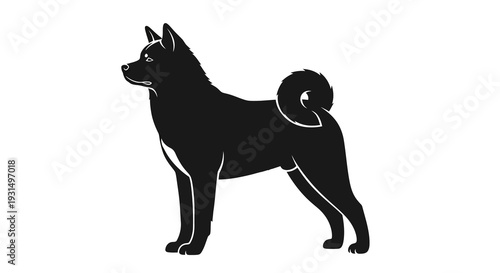 Silhouette of a Shiba Inu Dog Standing in Profile View