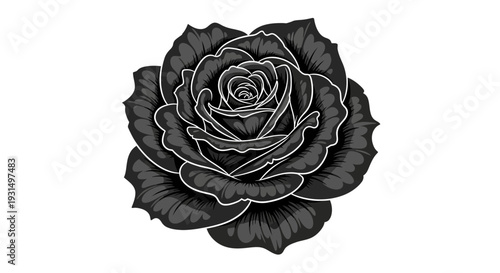 Intricate black and white rose illustration with detailed petals