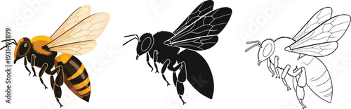 Honey Bee Vector Illustration Set with Color, Silhouette, and Line Art Outline Styles for Nature, Environment, and Organic Branding Isolated on White Background