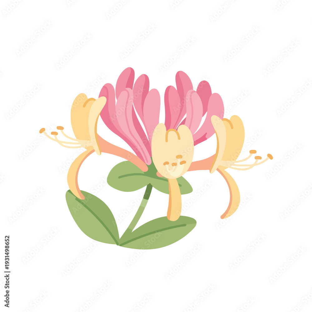 Fototapeta premium Web