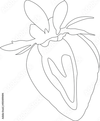 hand draw fruits strawberry icons illustration set, strawberry fruit fresh line sketch