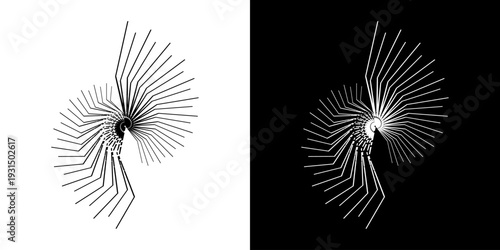 Dynamic abstract spiral sound wave rhythm lines. Circular spiral sound wave rhythm of lines. Circular futuristic abstract lines, black and white background.	