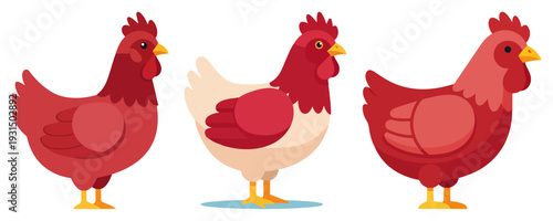 Set of three red and white hen characters for farm themed designs