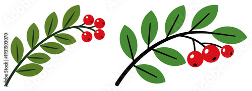 Two green branches with red berries in simple stylized vector design