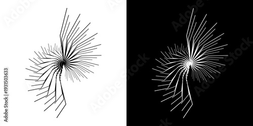 Dynamic abstract spiral sound wave rhythm lines. Circular spiral sound wave rhythm of lines. Circular futuristic abstract lines, black and white background.	