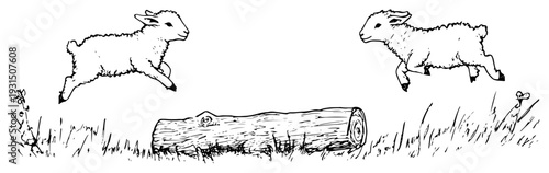Black and white doodle of two young lambs jumping over a log in a grassy field