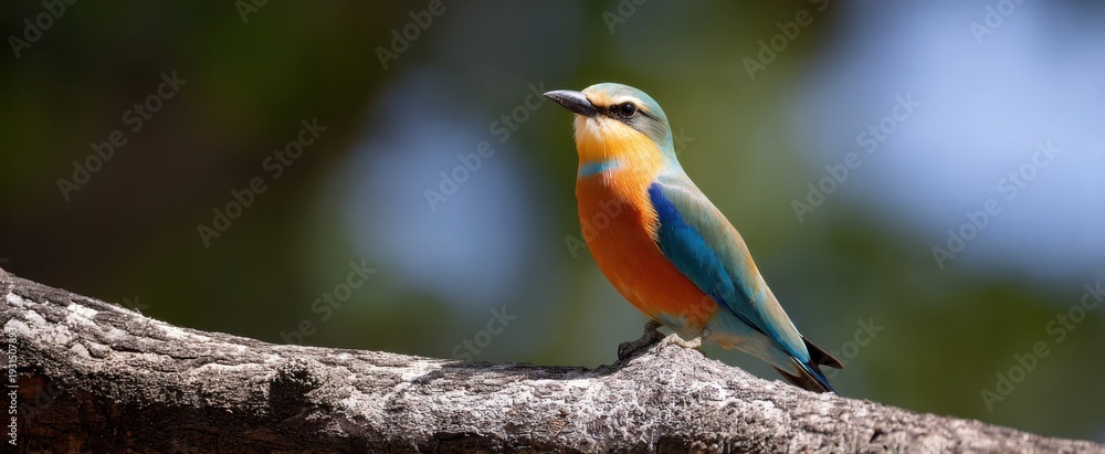 Obraz premium a vibrant bird resting on a tree limb under bright sunshine