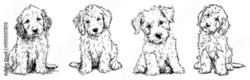 Collection of hand drawn sketches featuring a cute fluffy puppy in different poses