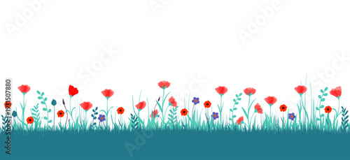 fiori, natura, primavera, campagna, campo di fiori, 