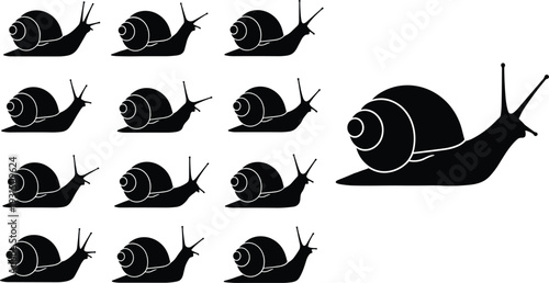 Snail silhouette collection in different sizes with detailed shell, black vector illustration set isolated on white background for nature and animal design